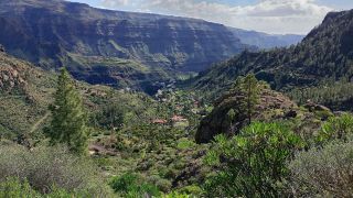 1768129955_GC-Mirador Degollada de Tasartico 2026-01.jpg